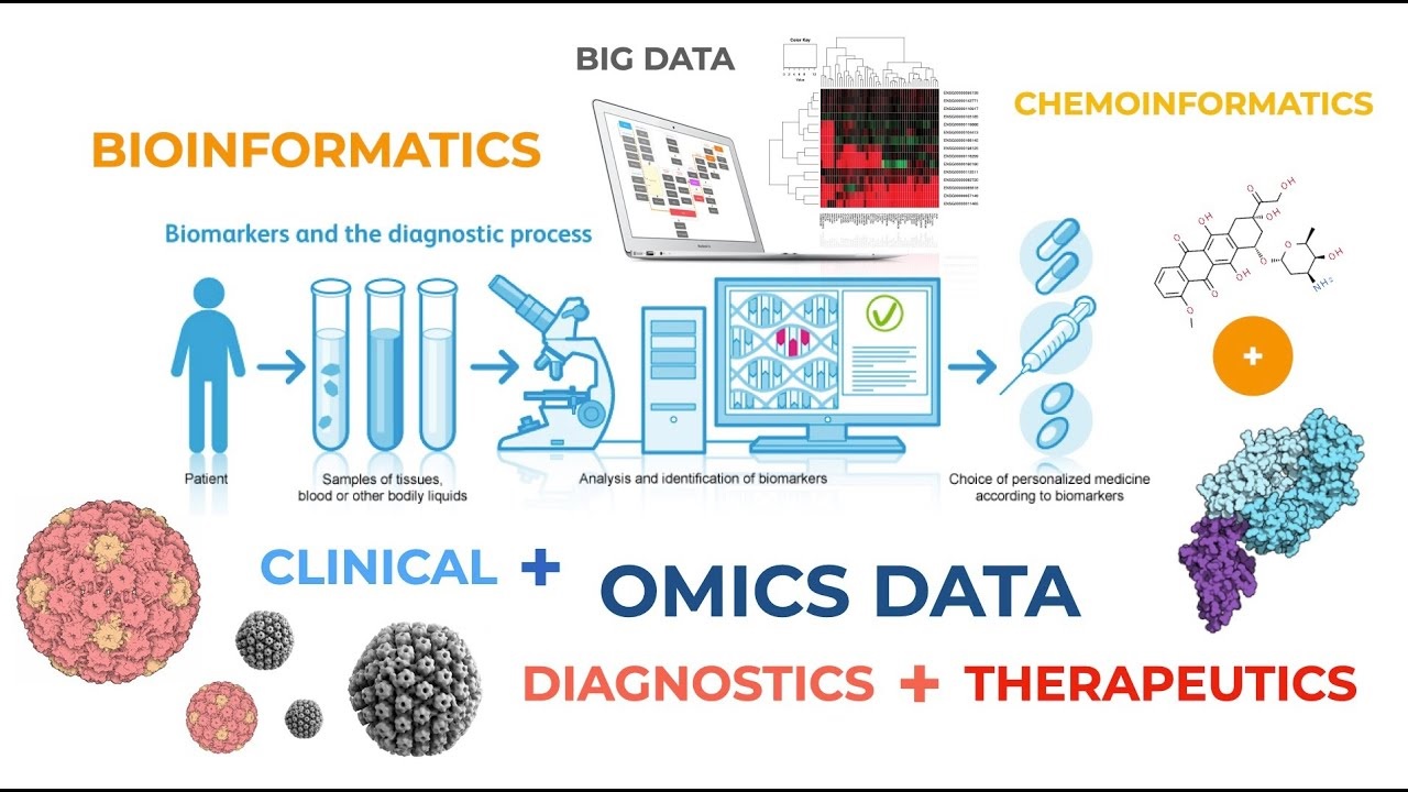 Integrating Bioinformatics and Precision Medicine: A Comprehensive Exploration