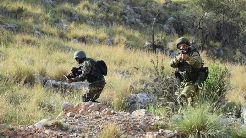 Pakistan Troops Violate Ceasefire in J-K, Suffer 'Heavy Casualties' After Indian Army Retaliates
