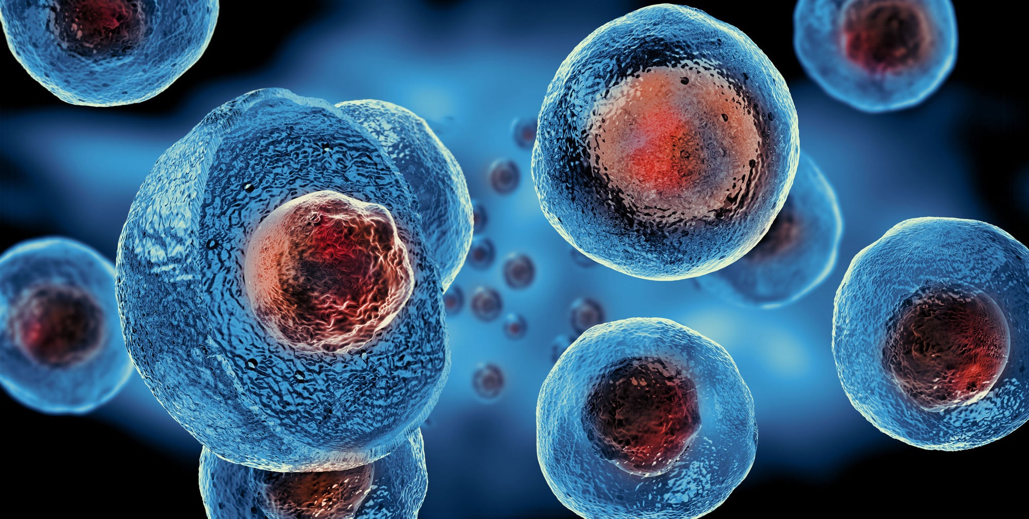 Unveiling the Frontier: Advancements in Stem Cell Research