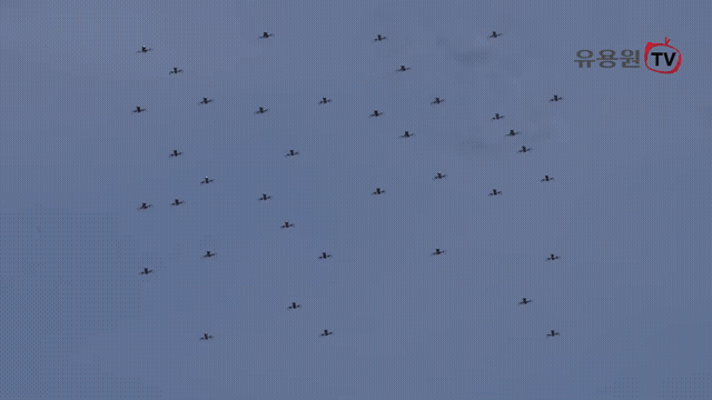 South Korean Air Force Downs 50 Drones in First Live-Fire Counter-Swarm Exercise Using Vulcan Cannons and Lasers