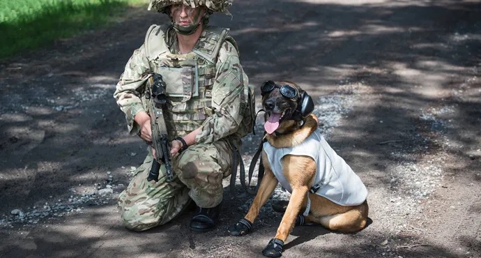 Norway Awards Non-stop dogwear $4M Contract to Equip Military K-9 Units