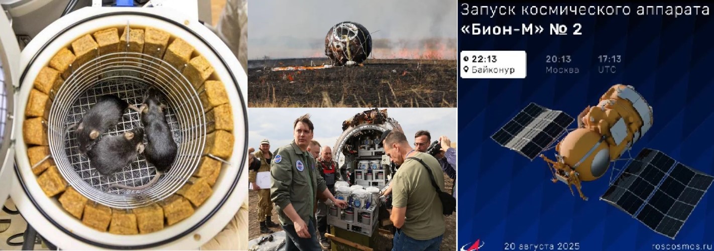 Space Secrets Unveiled: Russia’s Bion-M No. 2 Returns with Mice, Flies, and Seeds
