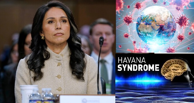 Tulsi Gabbard to Release High-Profile Intelligence Reports Before Leaving DNI Post on June 30