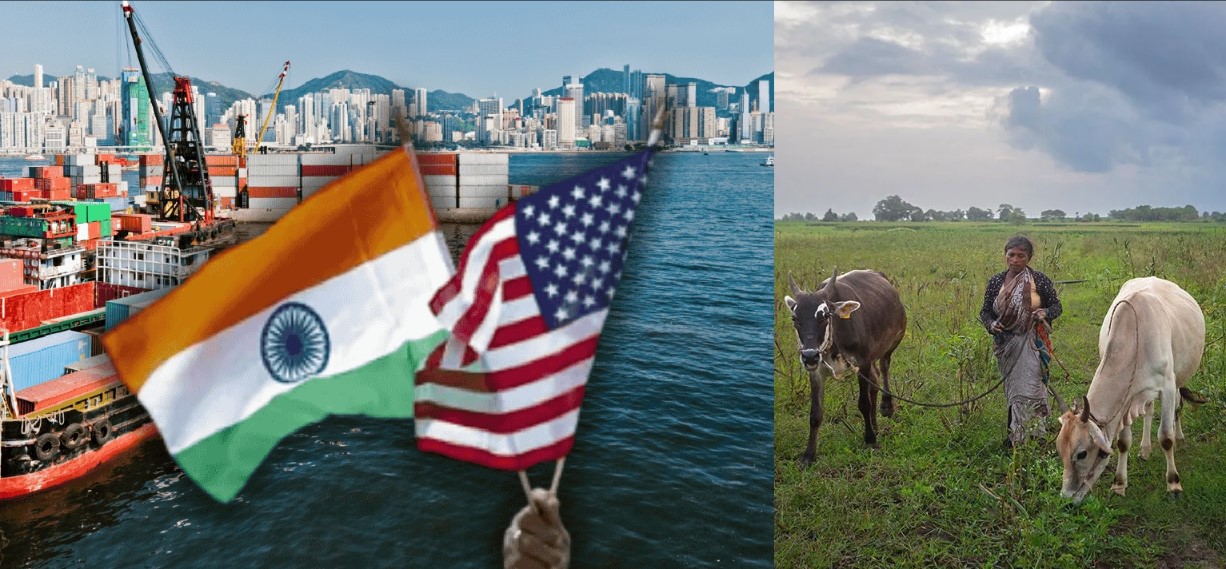 India–U.S. Trade Deal Nears Completion with India’s Conditions on Agriculture and Dairy Accepted