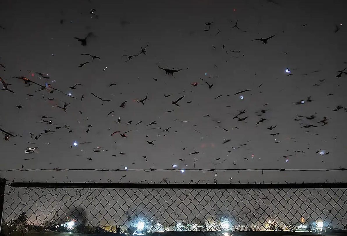 Mystery Drone Swarms Breach U.S. Military Airspace, Exposing Major Security Gaps