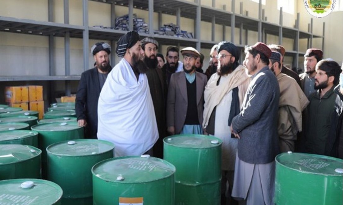 UN Body in Afghanistan Thanks India For Assistance in Combating Locust Threat