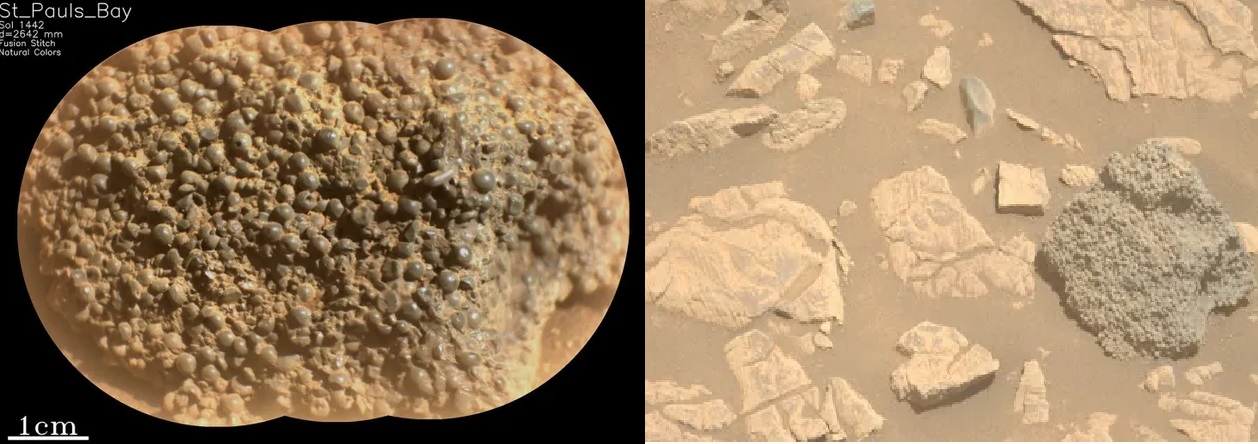 NASA's Perseverance Rover Discovers Mysterious Sphere-Studded Rock on Mars
