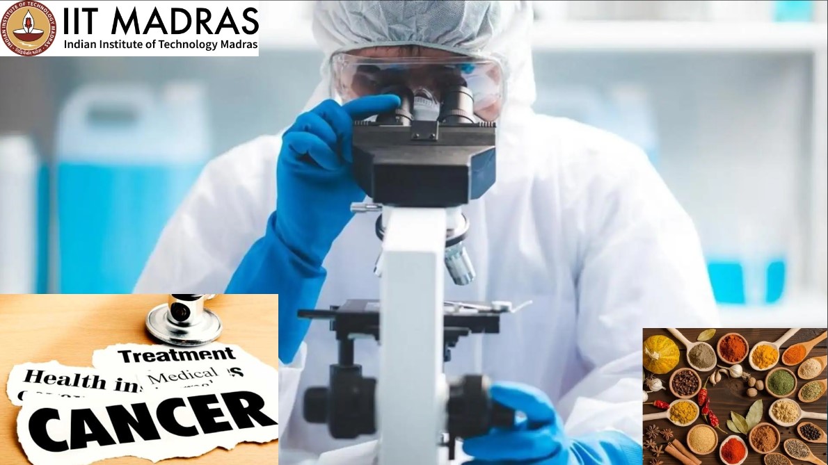 IIT Madras Patents on Indian Spices For Cancer Treatment , Medicine Available by 2028