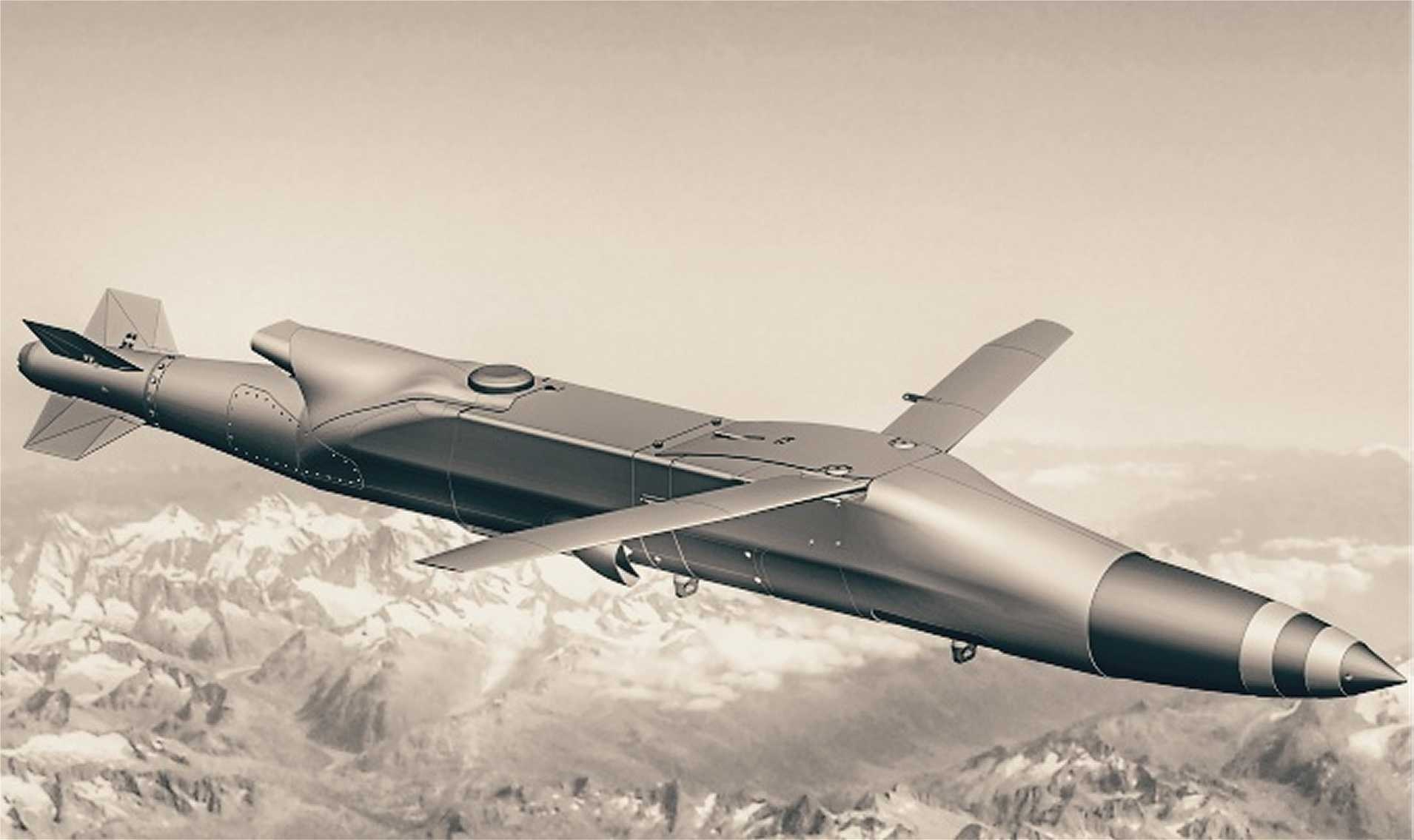 Fast-Track Strike: U.S. to Arm Ukraine with ERAM Cruise Missiles